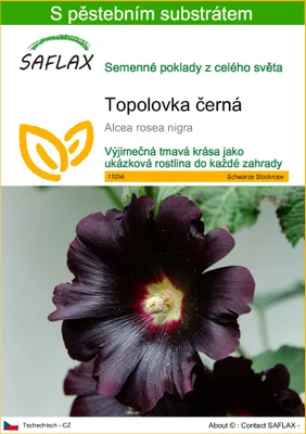 Obrázek produktu pro SAFLAX - Topolovka černá - Alcea rosea nigra - 100 Semena - S pěstebním substrátem bez klíčků