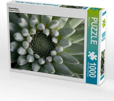 Produktbild von Calvendo Orostachys 1000 Teile Puzzle quer 640x480mm, Cross Martina; 7295832