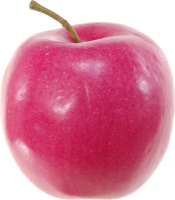 Produktbild von Kunstliches Obst Dekofrucht - Apfel/Appel - ca. 8 cm - rot