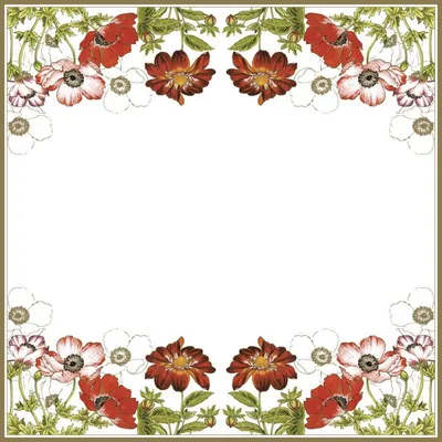 Produktbild von Servietten 33x33 cm - Anemones with Georginia