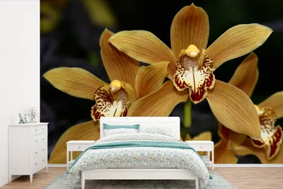 Produktbild von MuchoWow® Fototapete für Wohnzimmer oder Schlafzimmer Wandtapete Vinyl Motivtapete Die goldenen Orchideen - 600x400 cm - Vinyltapeten