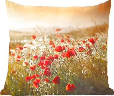 Produktbild von MuchoWow® Zierkissen Sofakissen Wohnzimmer Dekokissen 40x40 cm Sonnenstrahlen über einem Mohnblumenstrauß - Foto Kissen - Schlafzimmer Dekoration
