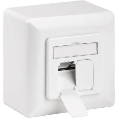 Image de Goobay 68244 Prise universelle CAT-6 y compris cadre de montage en saillie, blanc de signalisation RAL 9003 - 2x raccordements RJ45, blindés, bornier pour montage LSA sans outils