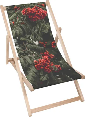 Produktbild von Dreamroots Liegestuhl klappbar Holz, Buchenholz bis zu 130 kg, Sonnenliege klappbar mit 3-stufiger Neigungsregulierung der Rückenlehne, Rowanberry