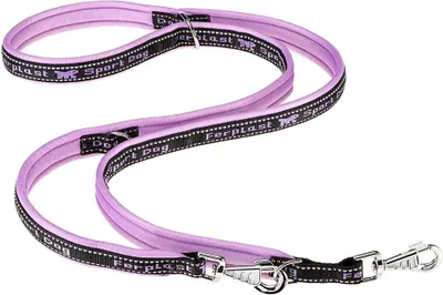 Immagine prodotto di Guinzaglio Sportivo Per Cani Ferplast Ga25 200Purple