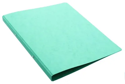 Produktbild von Pagna 44096-03, A4, Rundring, Lagerung, Grün, 1,6 cm, 265 mm