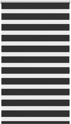 Productafbeelding van vidaXL Zebra-rolgordijn, 100,9 x 175 cm, stofbreedte 96,7 cm, zwart