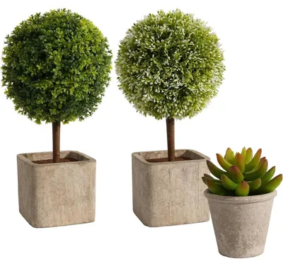 Image de 4 pièces de plantes artificielles, succulentes blanches et vertes, pour la décoration intérieure