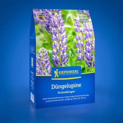 Produktbild von Kiepenkerl Gründüngung Düngelupine Lupinus angustifolius 0,8 kg