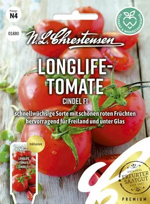 Produktbild von Longlife - Tomate Cindel F1 | Tomatensamen von N.L. Chrestensen