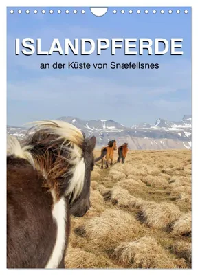 Produktbild von ISLANDPFERDE an der Küste von Snæfellsnes (Wandkalender 2027 DIN A4 hoch), CALVENDO Monatskalender