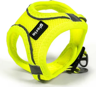 Zdjęcie produktu dla Gloria Air Mesh Trek Star Hundegeschirr L L