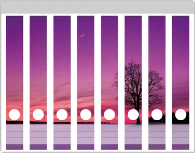 Produktbild von Wallario Ordnerrücken Sticker, selbstklebend für schmale Ordner, 8 Stück, Motiv Mond und Baum am Abend bei Schnee