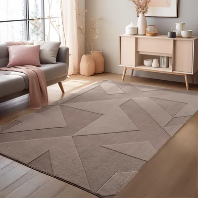 Image de Homebyhome Tapis Boho Scandinave à Poils Courts avec Effet 3D Lavable Doux et Moderne pour Salon, Taille: 160x230 cm