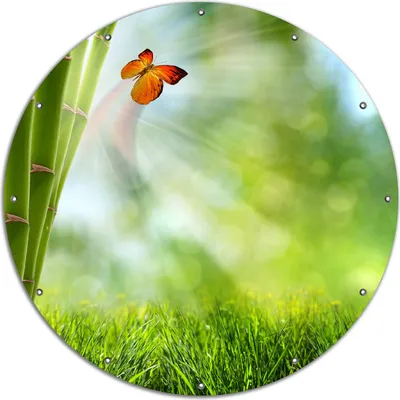 Produktbild von Wallario rundes Outdoor-Poster für Garten oder Balkon, Motiv Schmetterling im Grünen mit Bambus, 120 cm Durchmesser