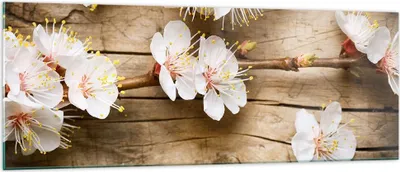Produktbild von Bilder auf glas - Blume Stängel - 140x50cm - Glasbilder - Wandbilder - Kunstdruck - zum Aufhängen bereit - Wanddekoration aus Glas - Glas Bilder - Wandbild auf Glas - Einteilig - GAB140x50-3537