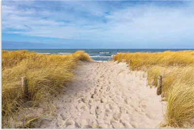 Produktbild von ARTland Wandbild Alu für Innen & Outdoor Strand an der Ostseeküste Graal Müritz Größe: 30x20 cm