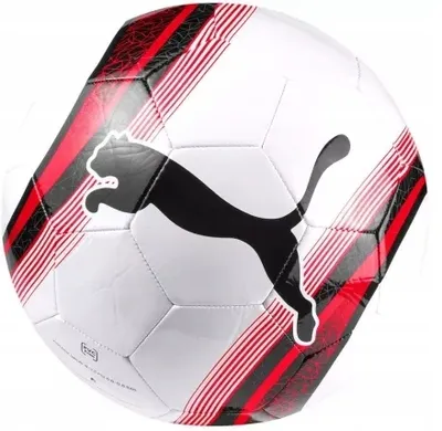 Image de Balons Puma Big 3 08304401