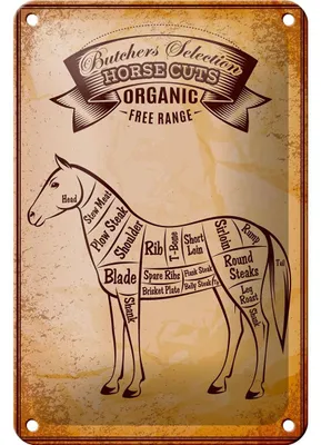 Produktbild von Blechschild Pferd 12x18cm Horse cuts Organic Metzgerei