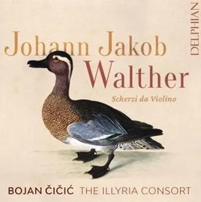 Produktbild von Cicic, B: Scherzi da violino