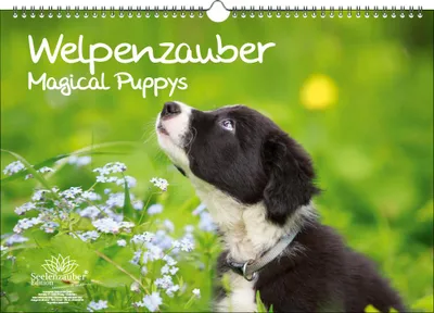 Produktbild von Welpenzauber DIN A3 Immerwährender Kalender Hunde Welpen - Seelenzauber