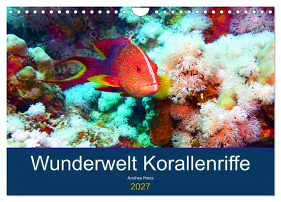 Produktbild von Wunderwelt Korallenriffe (Wandkalender 2027 DIN A4 quer), CALVENDO Monatskalender