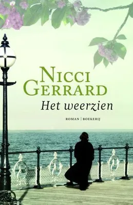 Image de Het weerzien | Nicci Gerrard