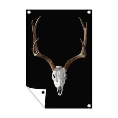 Obrázek produktu pro MuchoWow® Zahradní plakáty - Lebka - jelen - paroží - 90x60 cm - Zahradní dekorace