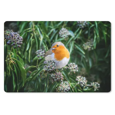 Produktbild von MuchoWow® Schreibtischunterlage Blumen - Vogel - Rotkehlchen 60x40 cm - XXL Mauspad - Großes Mauspad