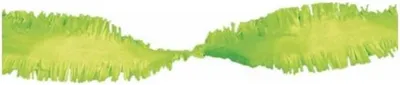 Image de guirlande festive papier crêpe 6 m vert clair