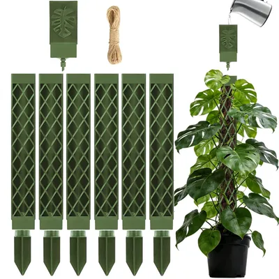 Immagine prodotto di 6 bastoncini di muschio per piante rampicanti: supporto ideale per Monstera e altre piante con fusti flessibili