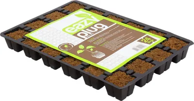 Produktbild von Eazy Plug Anzuchtwürfel, Tray mit 24 Stk.