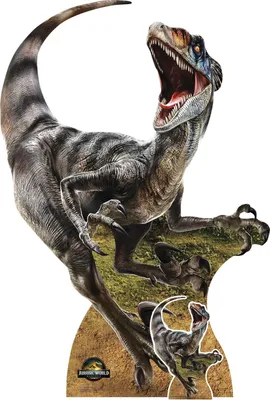 Obrázek produktu pro Jurský svět - Znovuzrození - Velociraptor - kartonový stojan 144x94 cm