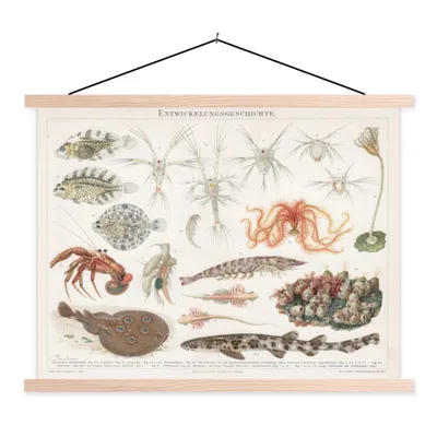 Produktbild von MuchoWow® Textilposter Meerestiere - Vintage - Illustration 150x113 cm mit holzfarbenen Rahmen - Poster