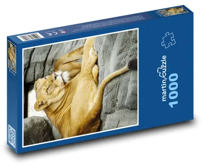 Obrázok produktu pre Puzzle 1000 Odpočívajúca levica na skale - martinpuzzle
