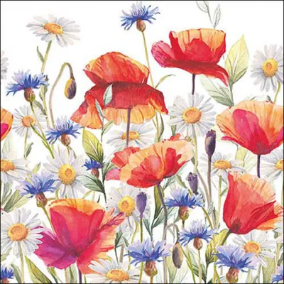 Image de Serviettes en papier 33 x 33 cm, 3 couches, avec motif coquelicots et prairie estivale, 20 pièces