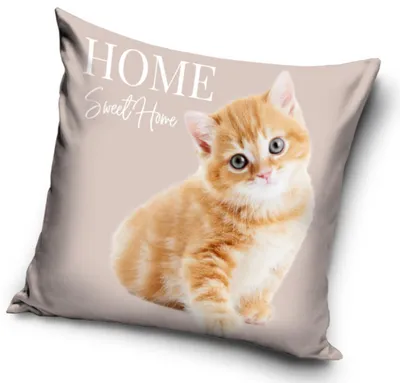 Produktbild von Katze Home Kissenbezug 40x40 cm Velours