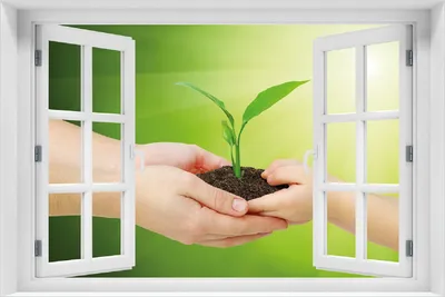 Produktbild von Wallario Poster mit Fenster-Illusion: Eine zarte Pflanze - von Hand zu Hand, Größe: 100 x 150 cm