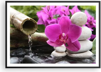 Produktbild von Gerahmtes Poster - Schwarzer Rahmen - Orchidee Bambus Dekoration Spa - 100x70 cm - Wand Bild - Wanddeko - Wandbilder - Wandposter - Bilderrahmen - Bilder - Kunstdruck - Wandbild - P2BAA100x70-2666