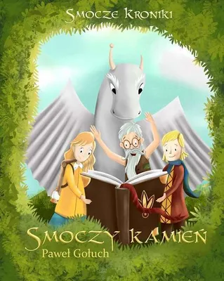 Image de Smoczy kamień Tom 2
