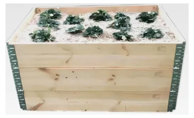 Produktbild von 3X Hochbeet 120 x 80 x 20 cm Aufsatzrahmen Gartenbeet Stapelrahmen