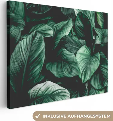 Produktbild von MuchoWow® - Leinwandbilder - Dschungel - Blätter - Tropisch - Pflanzen - Natur, Wandbild, Wanddeko Bilder Wohnzimmer, 80x60 cm