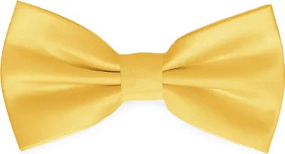 Produktbild von Ladeheid Elegante Herren Fliege - Hochwertig Matt Verstellbar BMM (12cm x 6cm)