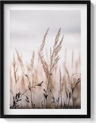 Produktbild von Boho-Romantik-Landschaft aus feinen Gräsern– Wandbild mit Rahmen – Gerahmtes Bild  – Wanddekoration – 60x80 cm –  Schwarz Rahmen