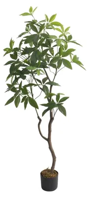Produktbild von Künstliche Schefflera Schirmbaum-Pflanze - Hohe Bodenpflanze im Topf 160 cm - Realistische Blätter und Stämme - Deko für Wohnzimmer, Schlafzimmer, Büro und Außenbereich