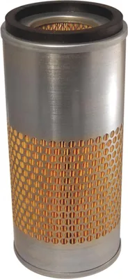 Immagine prodotto di Filtro aria FILTRON AM 470/1