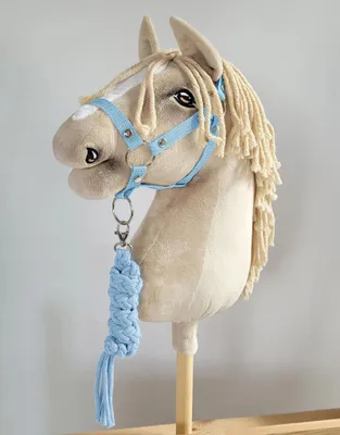 Image de Set pour Hobby Horse A3 licol avec corde bleu clair