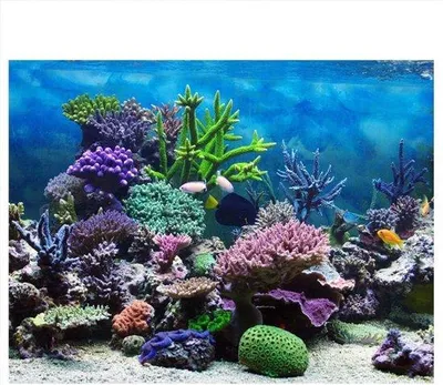 Productafbeelding van Zelfklevende Aquarium Achtergrond Poster voor Onderwaterdecoratie
