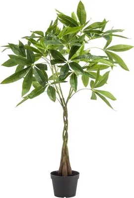 Zdjęcie produktu dla Kasztan szczescia Pachira Aquatica - Sztuczna roslina doniczkowa - Ø90cm