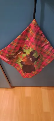 Produktbild von DERFORM Schuhbeutel Pferde Mädchen Motiv